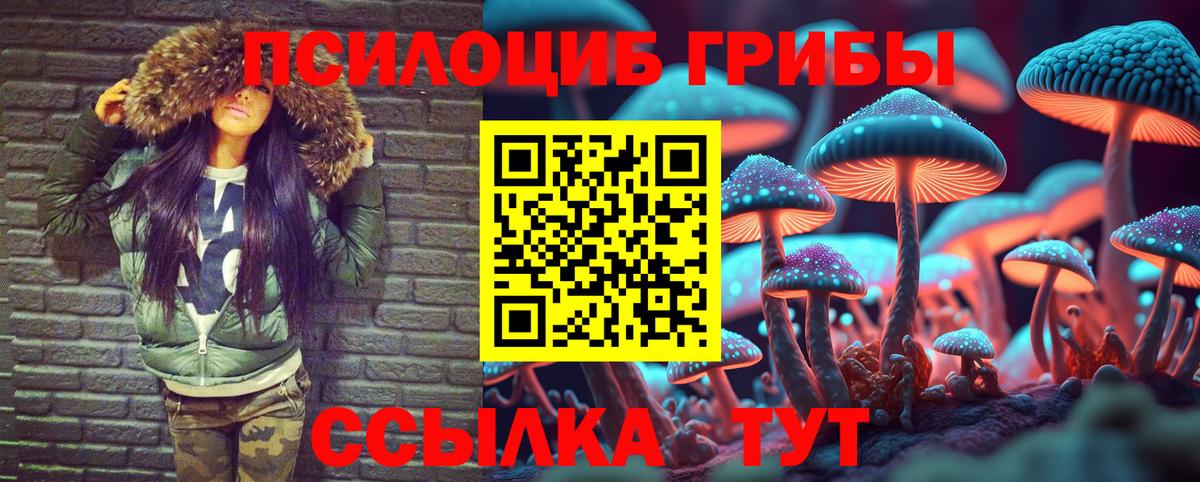 Избербаш  Галлюциногенные грибы мухоморы  Вход с VPN 