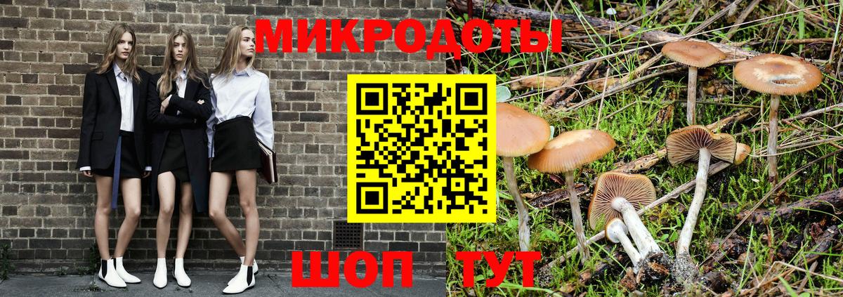 Псилоцибиновые грибы Psilocybine cubensis Избербаш